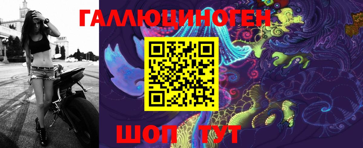 Галлюциногенные грибы Psilocybine cubensis Канаш