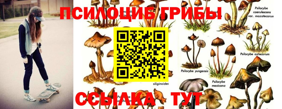 Канаш  Галлюциногенные грибы Magic Shrooms  что такое   Вход с VPN 